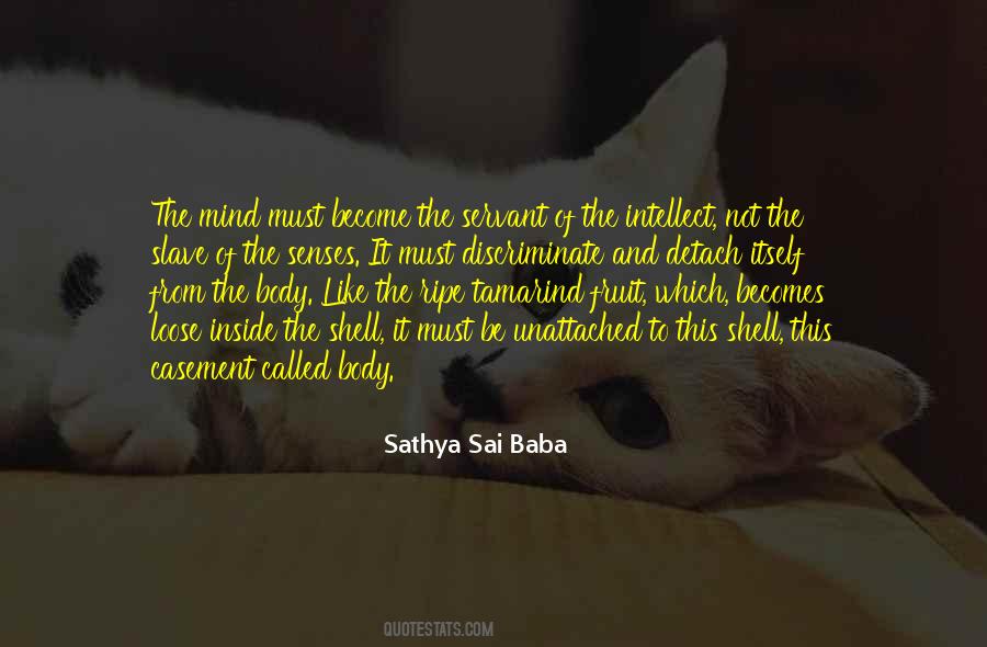 Senses Of The Body Quotes #408370