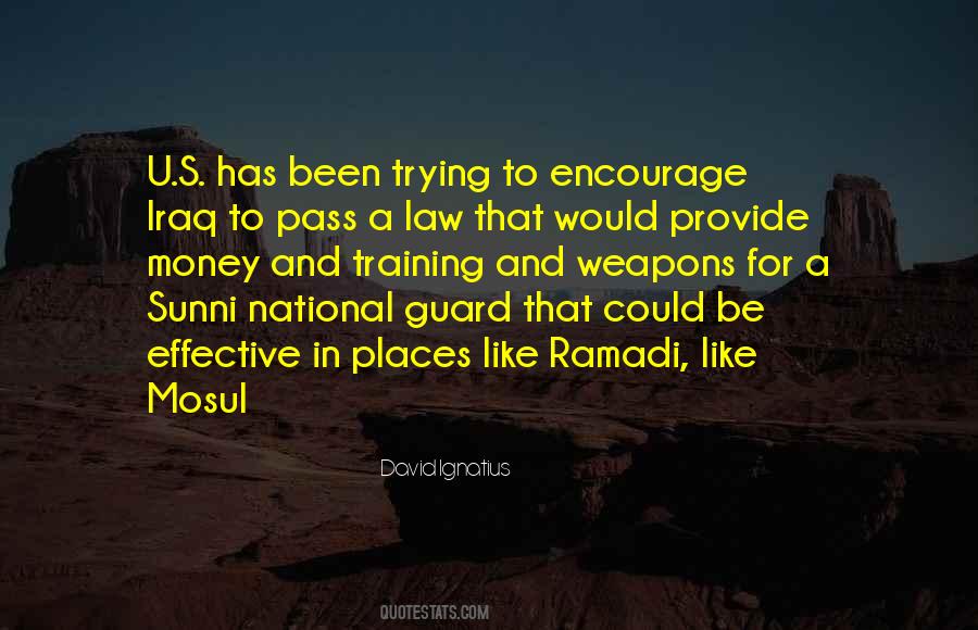 Effective Law Quotes #1004057