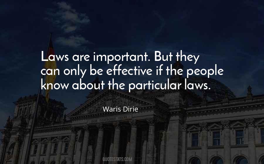 Effective Law Quotes #1345944