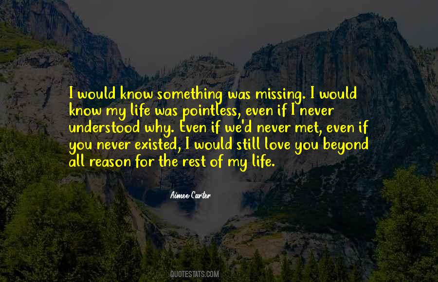 We Met For A Reason Quotes #1464719
