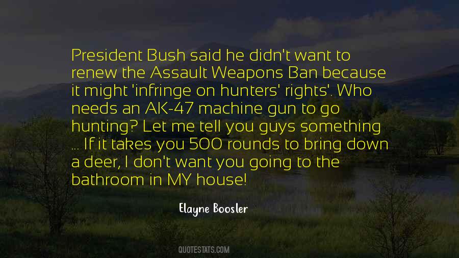 Quotes About Gun Rights #1142189