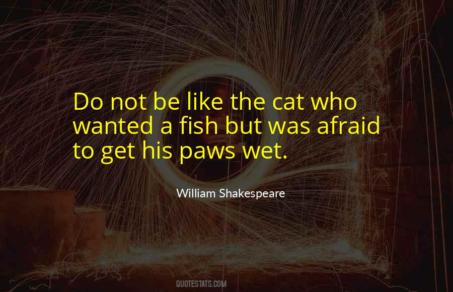 Quotes About Cat Paws #1037674