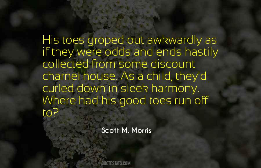 Other Odds Ends Quotes #1118675