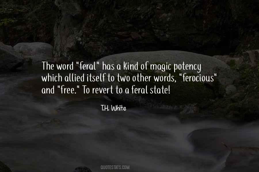 Magic Words Quotes #144148