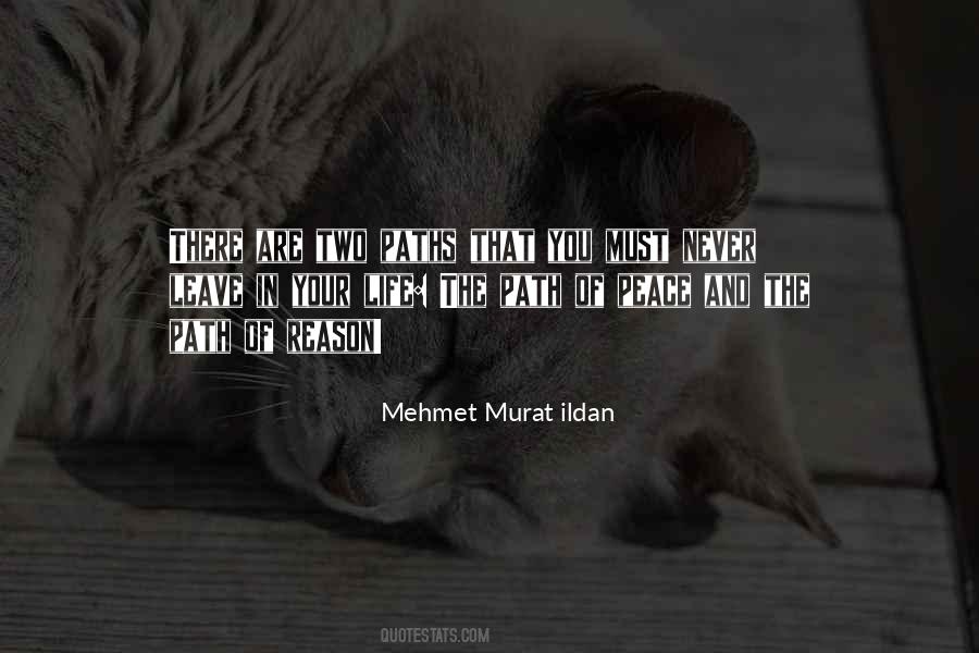 Mehmet Murat Ildan Quotations Quotes #136484