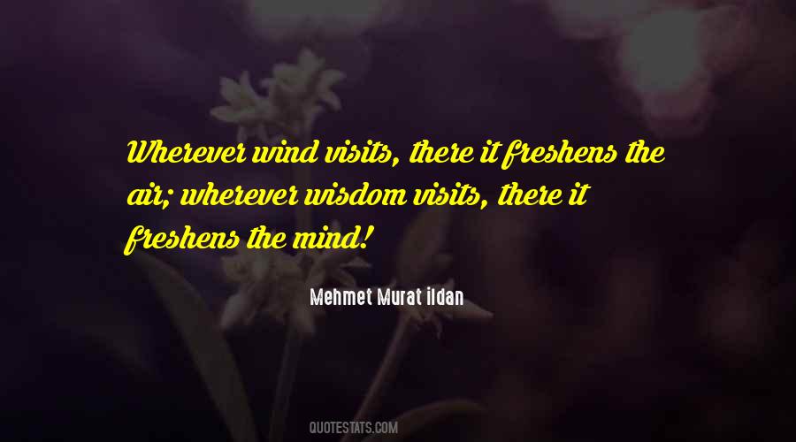 Mehmet Murat Ildan Quotations Quotes #229899