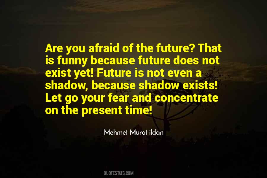 Mehmet Murat Ildan Quotations Quotes #547439