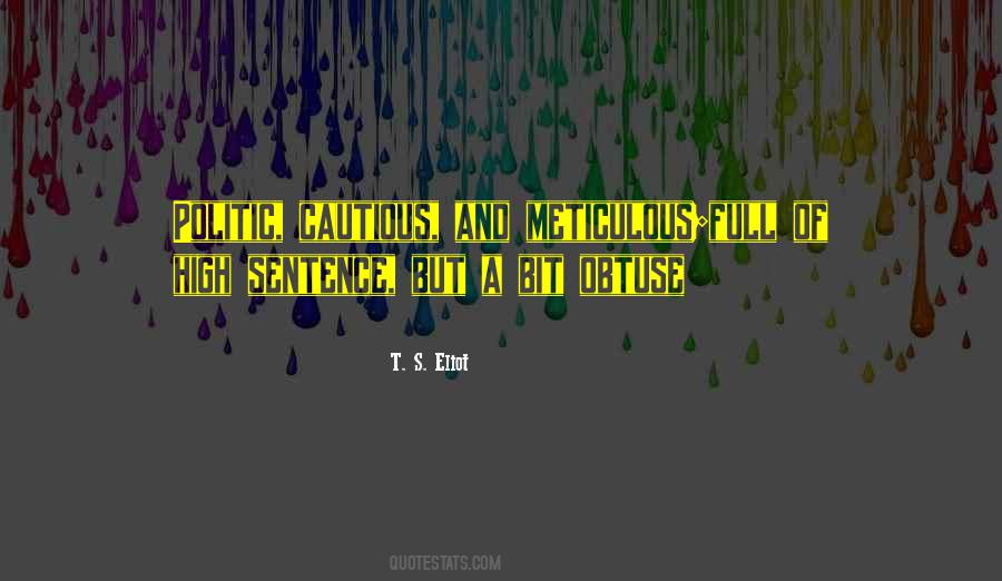 Quotes About Being Meticulous #1012376