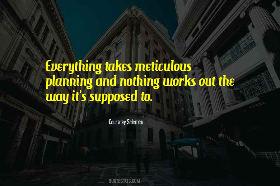 Quotes About Being Meticulous #528968