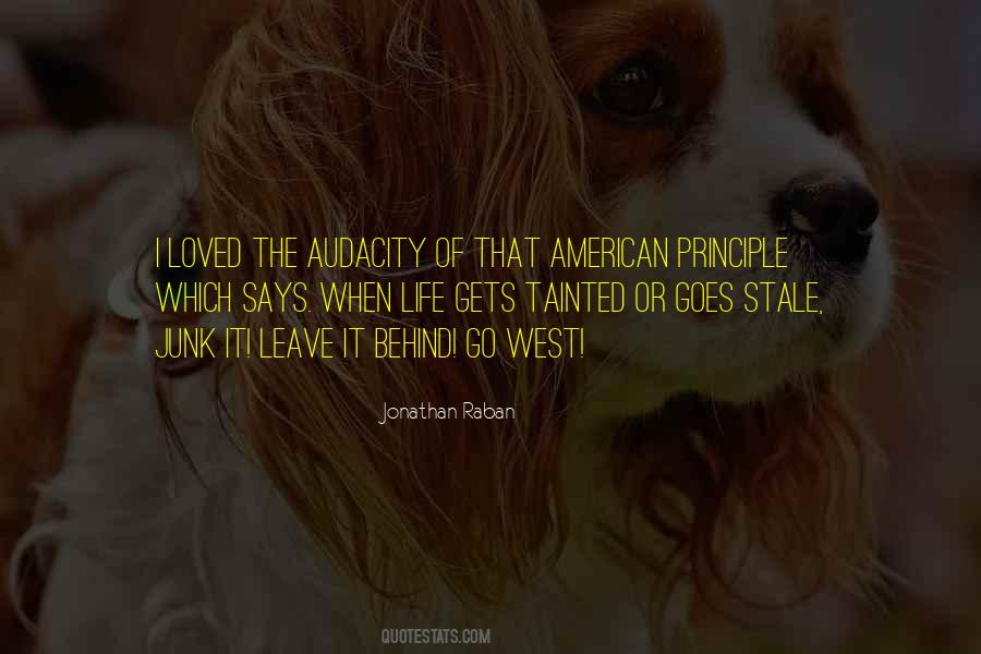 Quotes About American Way Of Life #183338