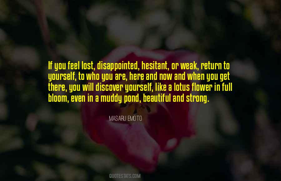 Lotus Flower Lotus Quotes #1693663