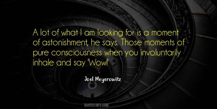 Quotes About Astonishment #120234