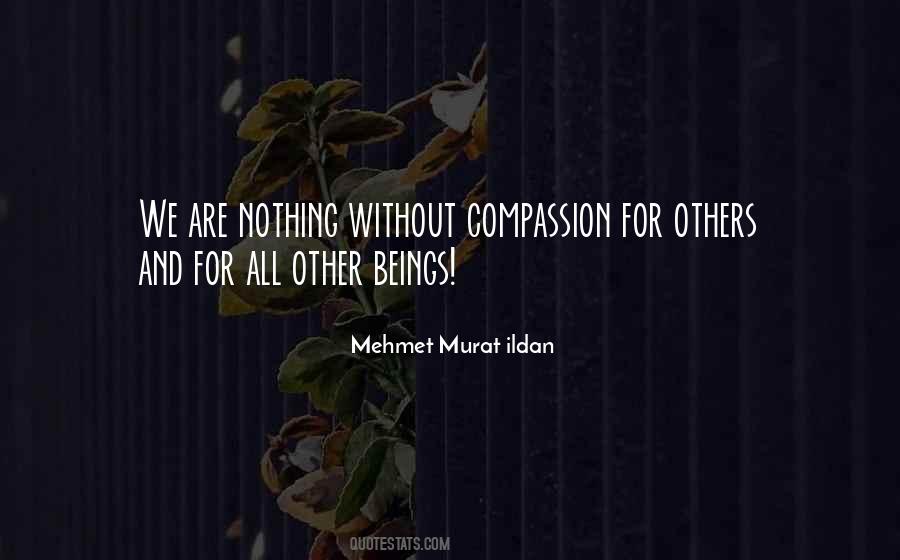 Quotes About Compassion For Others #608651