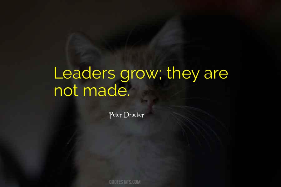 Leader Leadership Quotes #33132