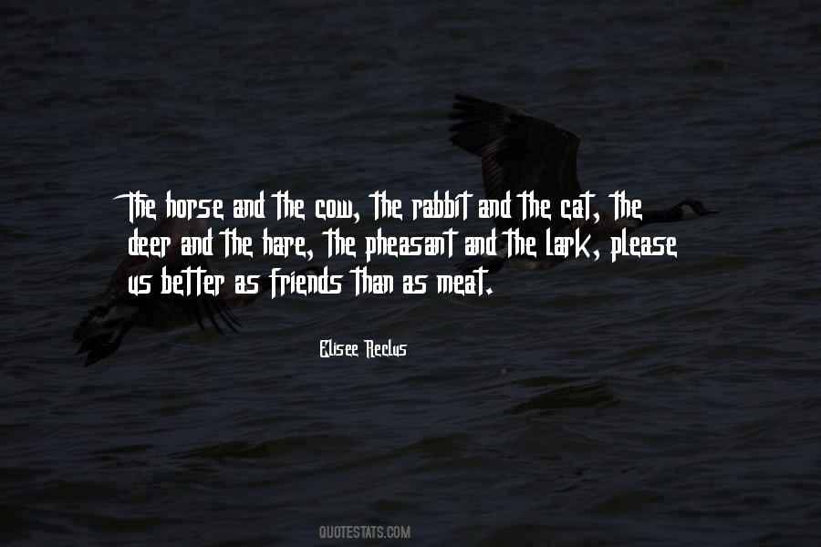 Animal Rights Veganism Quotes #931514