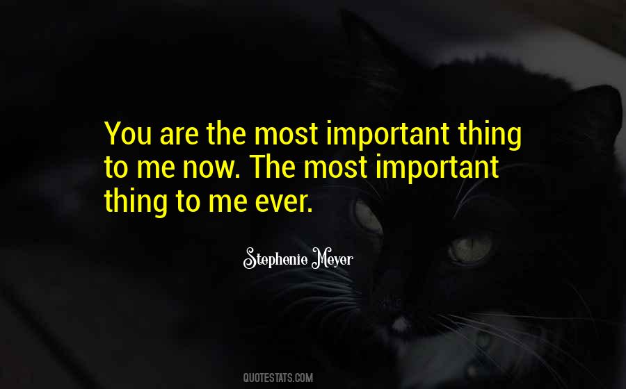 Quotes About You Are Important To Me #266089