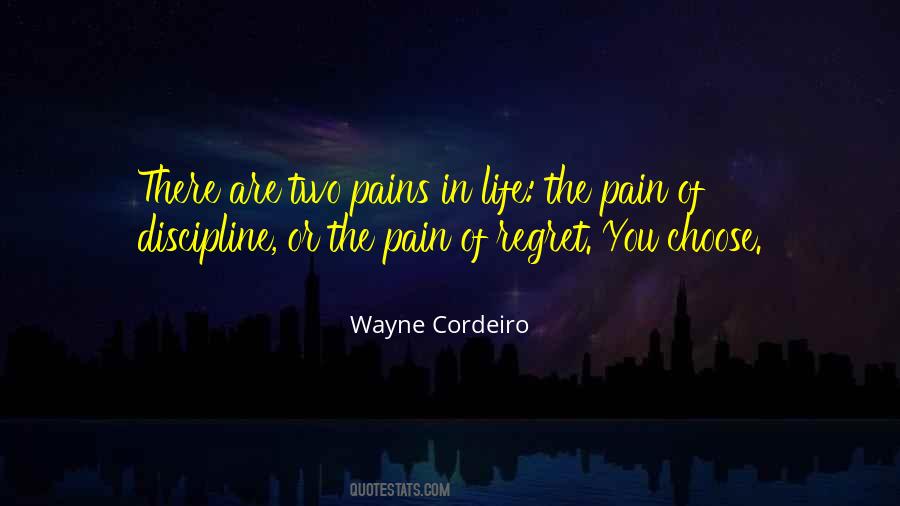 Quotes About Pains Of Life #256089