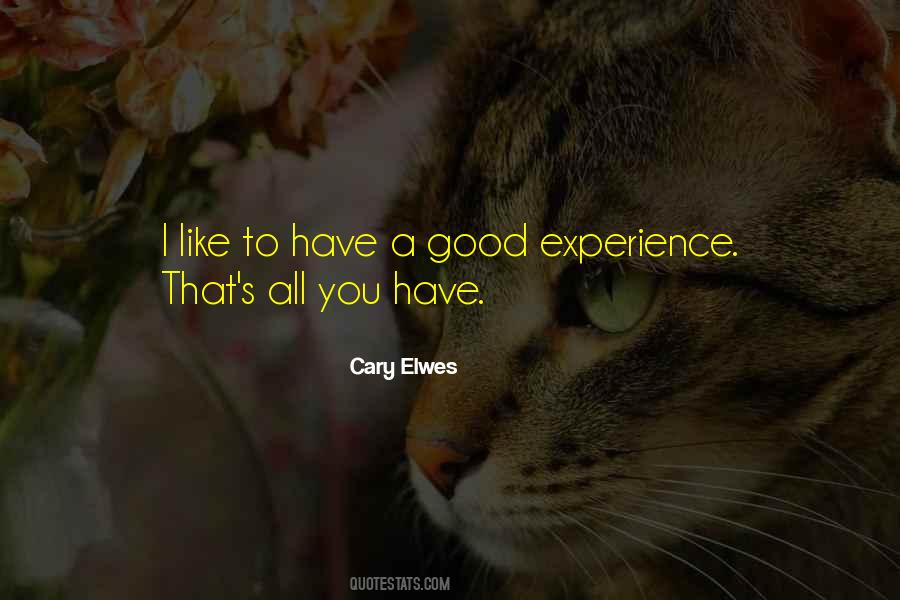 Quotes About A Good Experience #361144