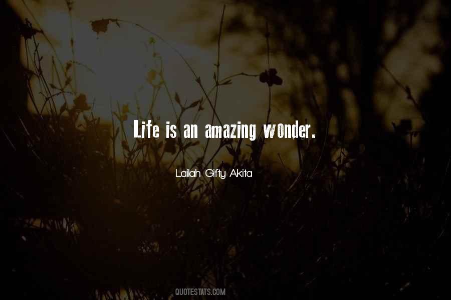 An Amazing Life Quotes #311579