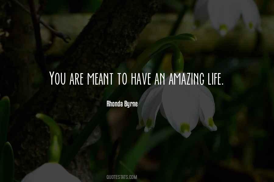 An Amazing Life Quotes #78311