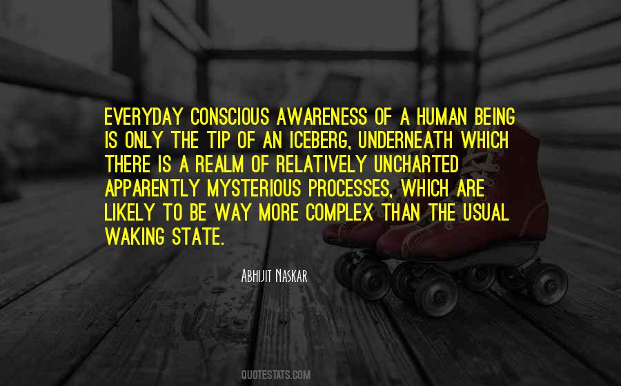 At The Tip Of The Iceberg Quotes #492859