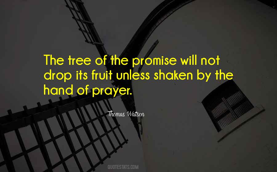Tree Will Quotes #70529