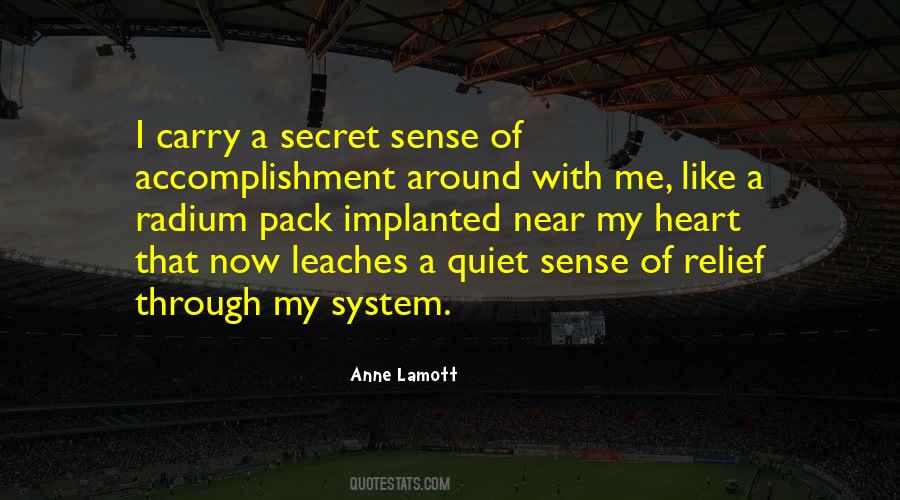 Quotes About Sense Of Accomplishment #674484