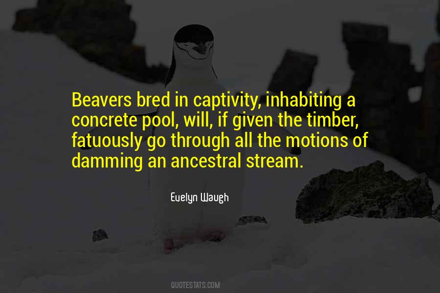 Quotes About Beavers #904054