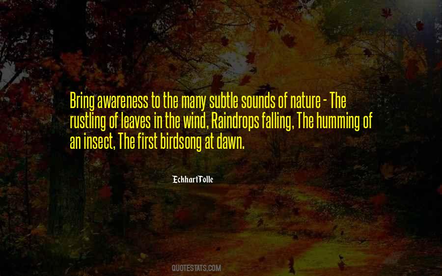 Quotes About Birdsong #1332021
