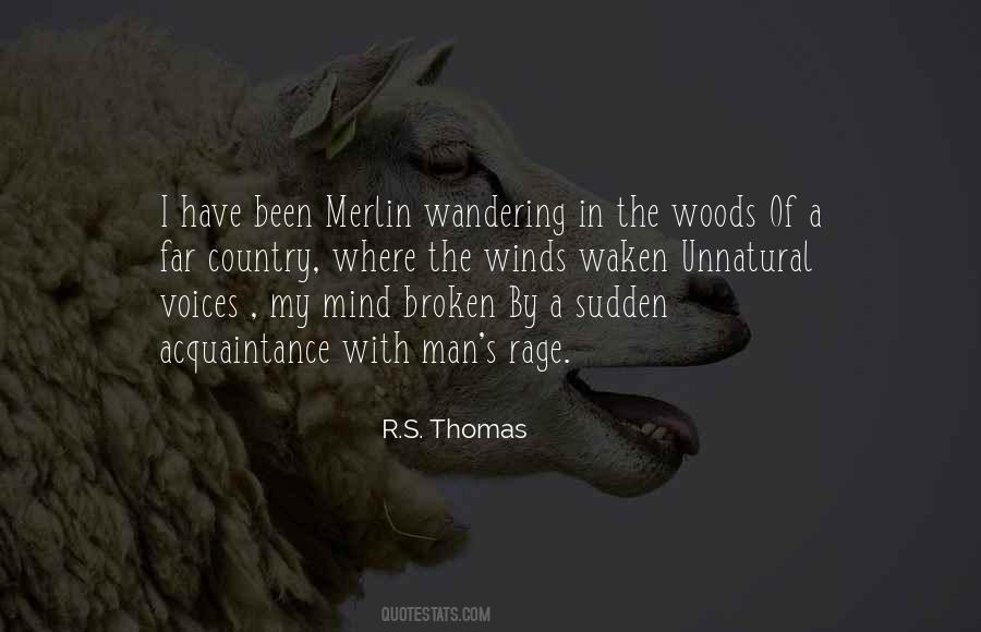 Merlin I Quotes #65654