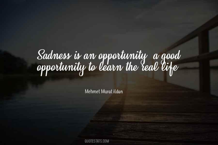 Quotes About Opportunity To Learn #668844