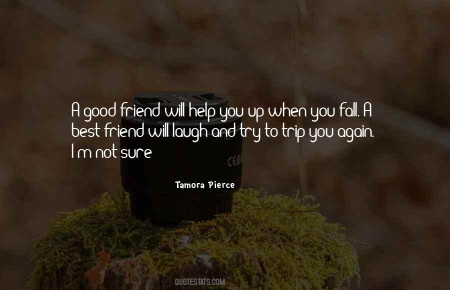 Friend Will Quotes #169691