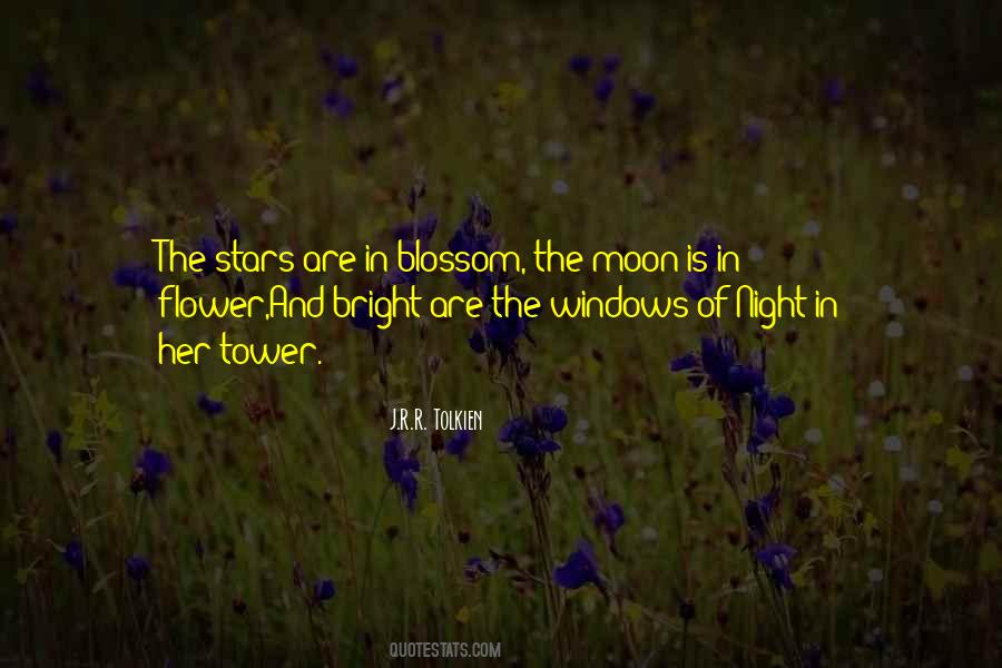 Quotes About The Night And Stars #401356