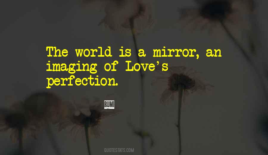 Quotes About A Mirror #1318186