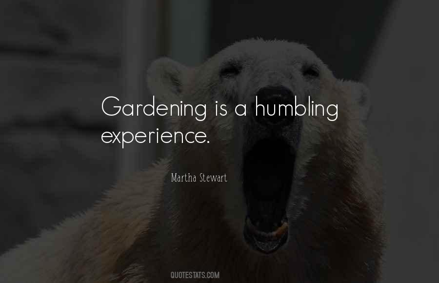 Quotes About Humbling Experiences #245773