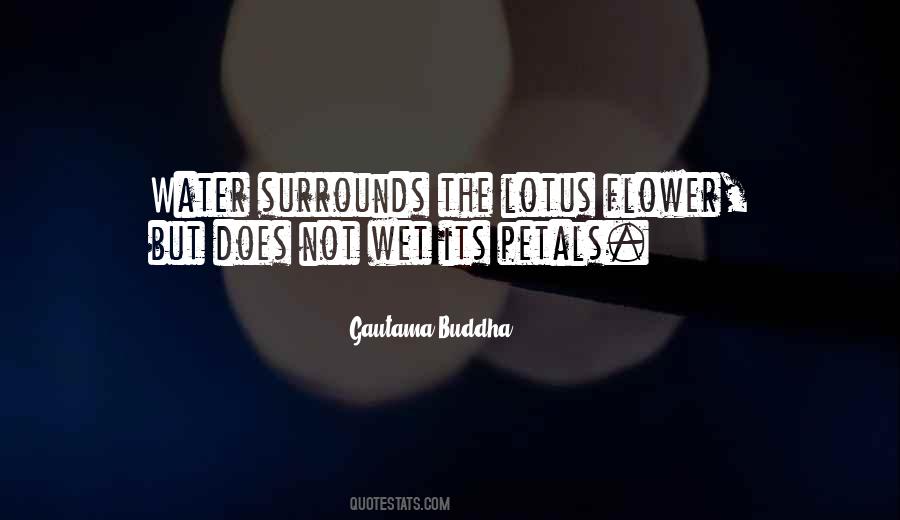 Quotes About A Lotus Flower #519095