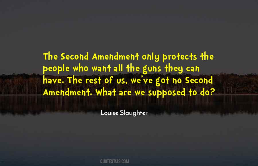 Quotes About The Second Amendment #994288