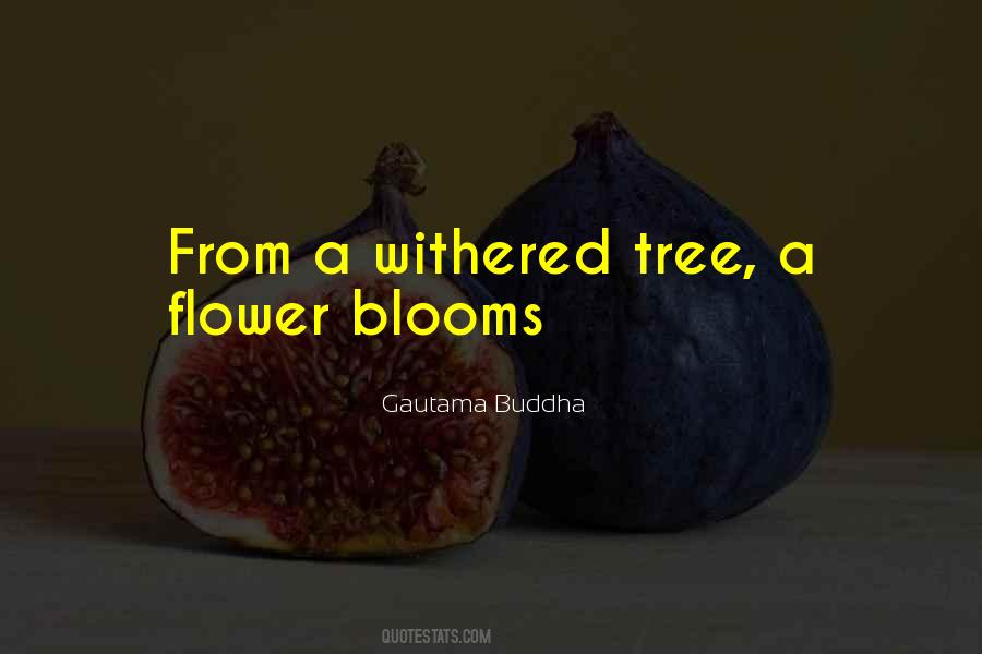 Quotes About Flower Blooms #1043527