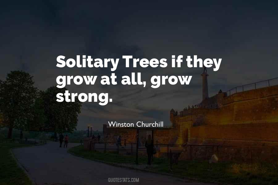 Quotes About Solitary Trees #977224