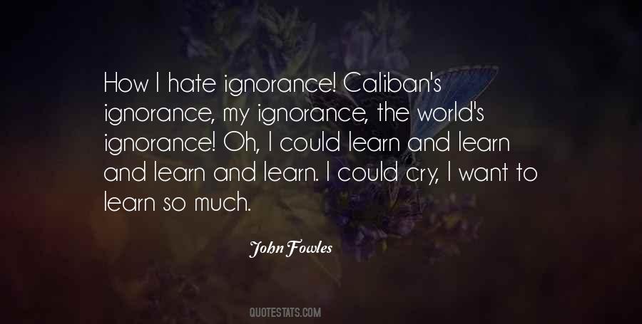 Quotes About Ignorance And Hate #1373497