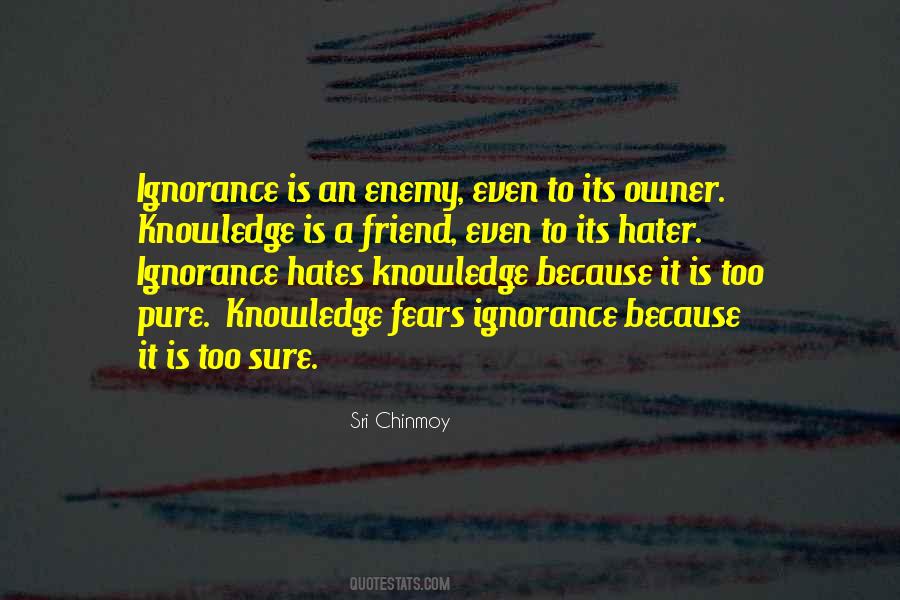 Quotes About Ignorance And Hate #1524698