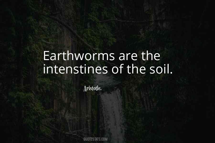 Quotes About Earthworms #1529394