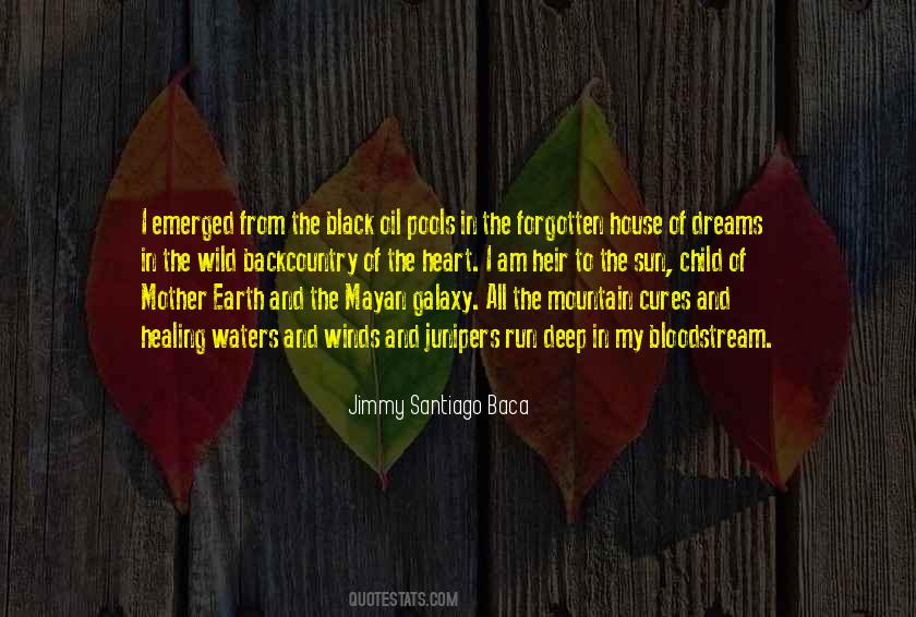 Quotes About Healing The Earth #1653614