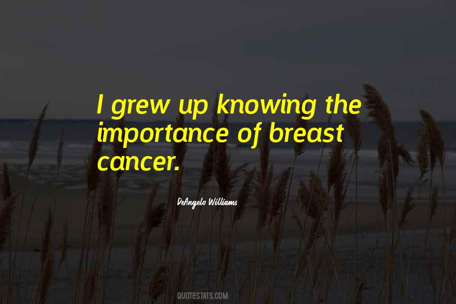 Quotes About Breast Cancer #23736