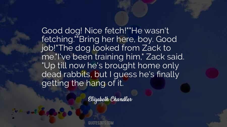 Quotes About Fetch #968304