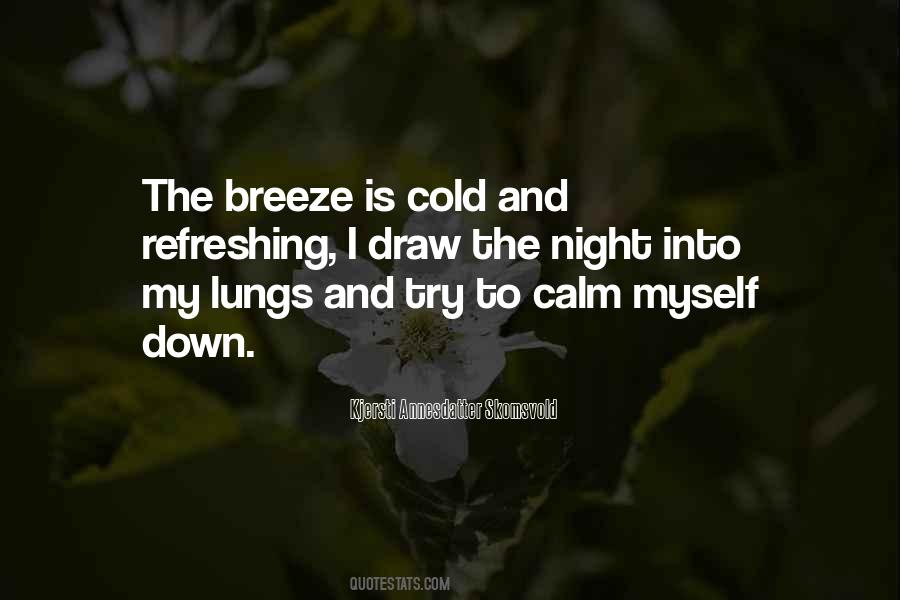 Quotes About Calm Night #401000