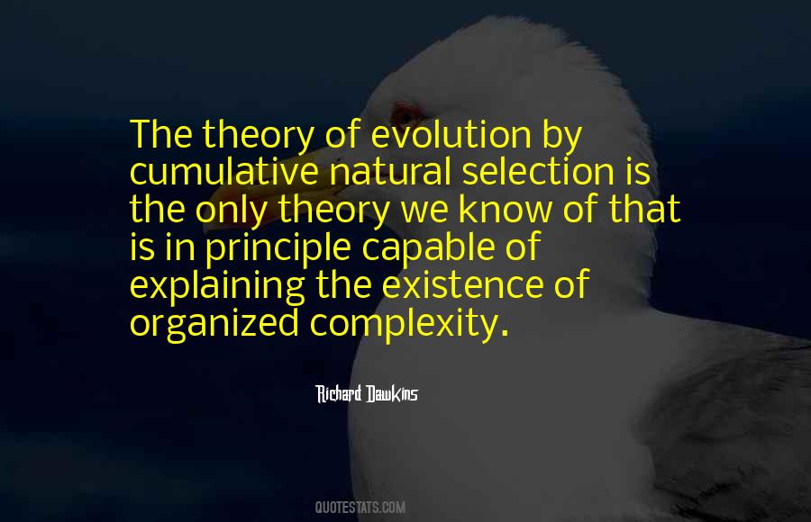 Quotes About Complexity #1321413