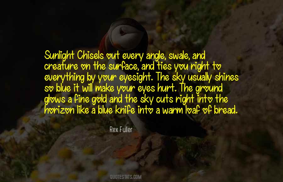 Quotes About Eyesight #1082322