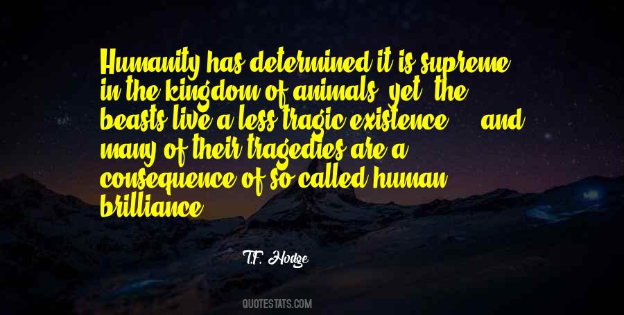 Quotes About The Existence Of Humanity #761921