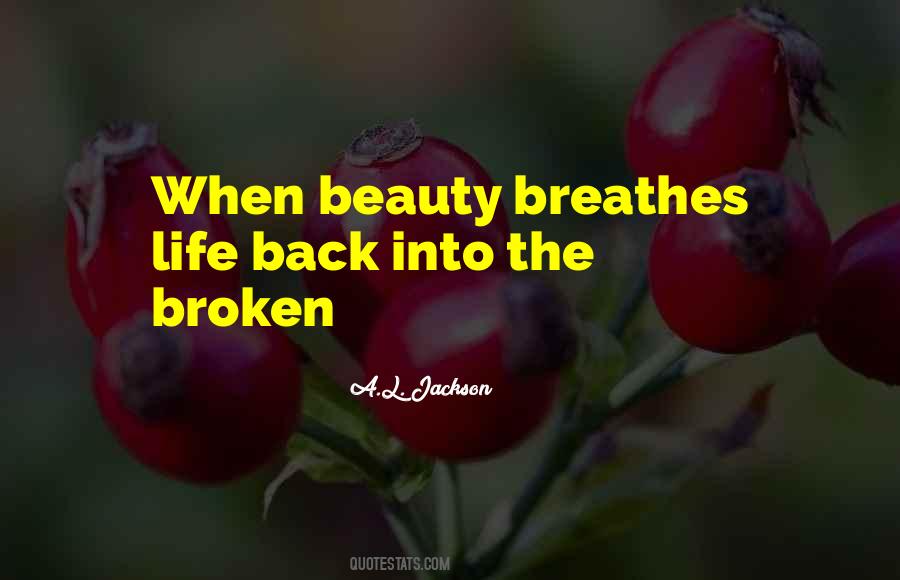 Quotes About Broken Beauty #946363